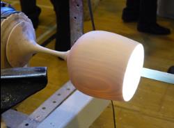 Probe light illuminating inside goblet